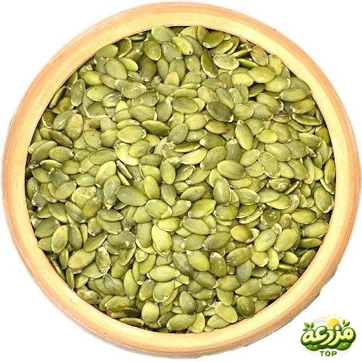 مغز تخمه کدو