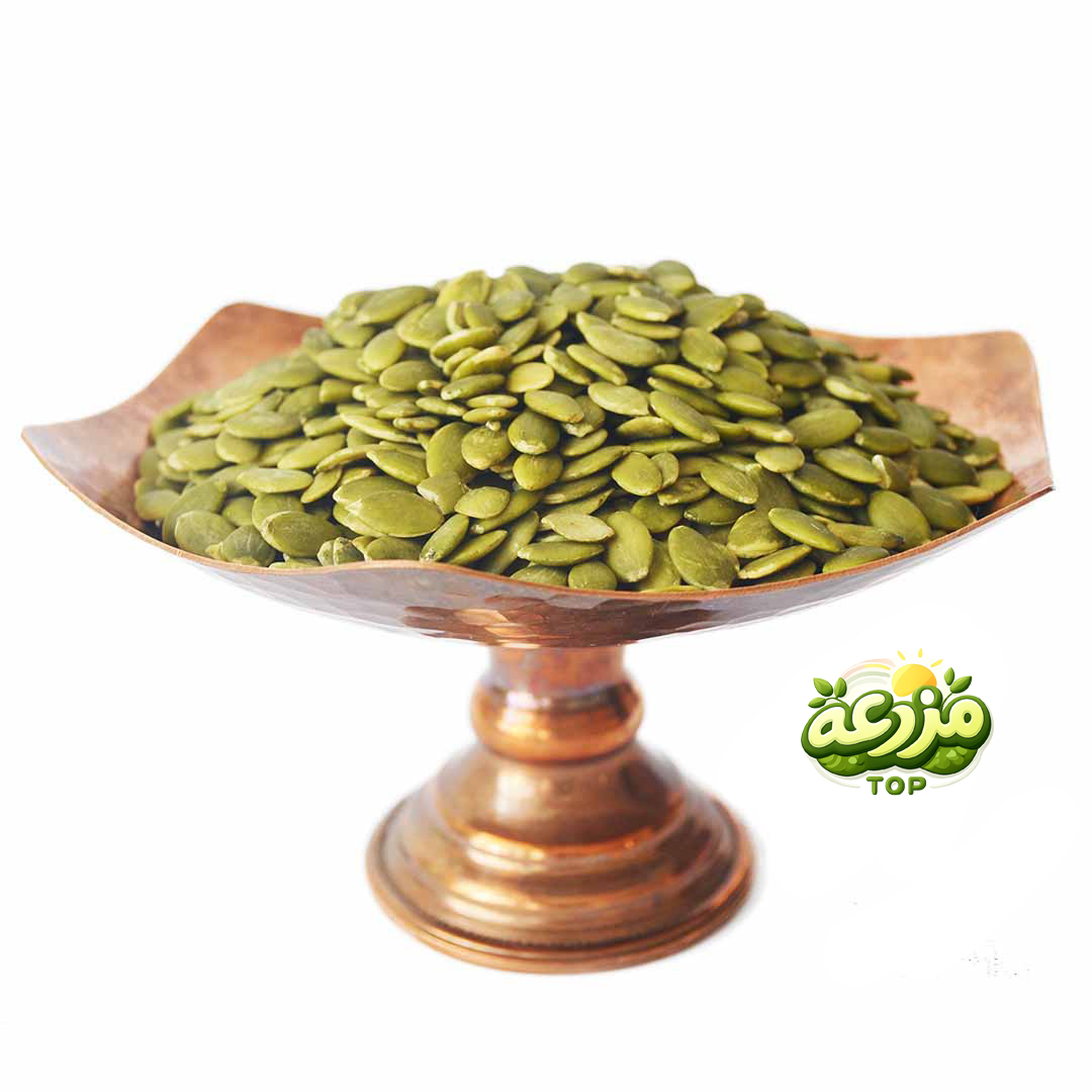 مغز تخمه کدو