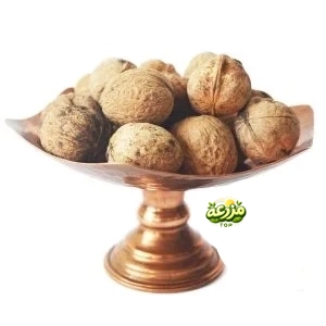 گردو با پوست ایرانی