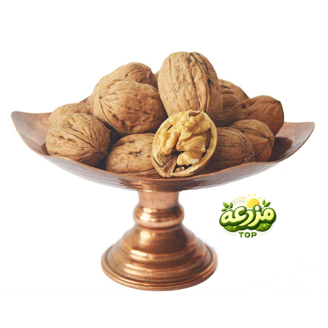گردو با پوست ایرانی