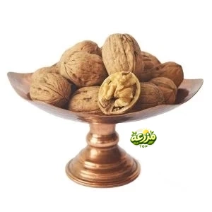 گردو با پوست وارداتی