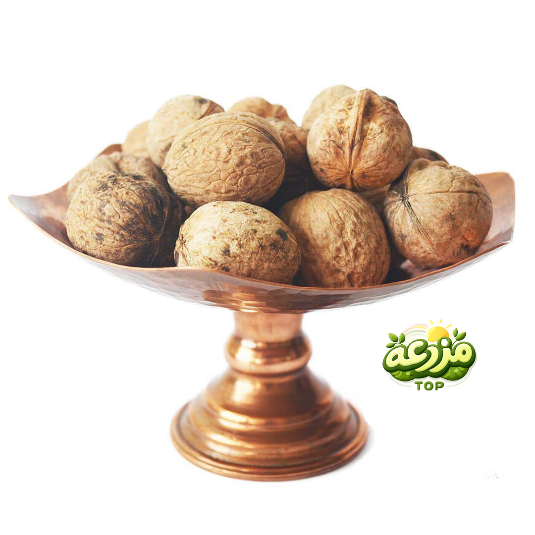 گردو با پوست وارداتی