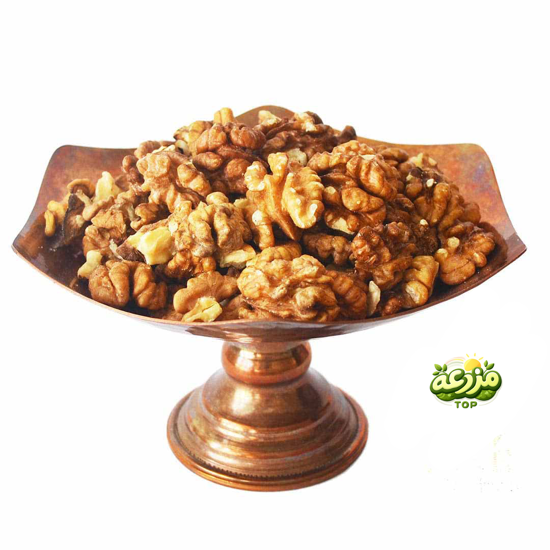 مغز گردو خورشتی ایرانی