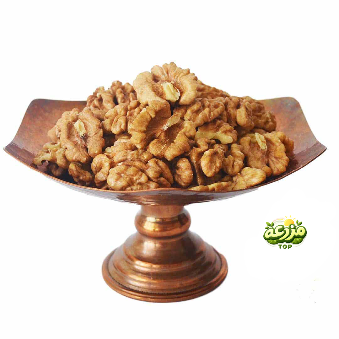 مغز گردو خارجی