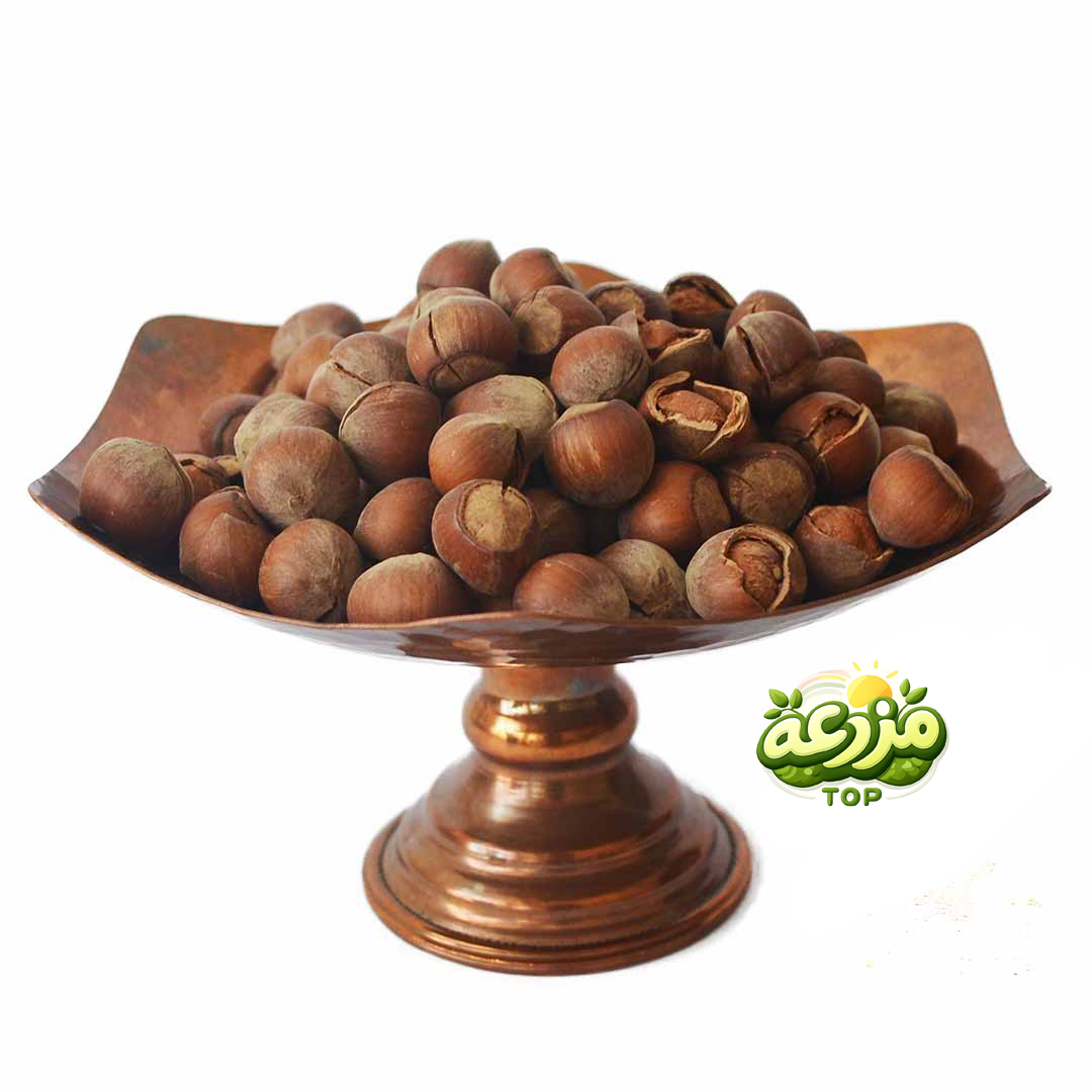 ﻓﻨﺪق ﺑﺎ ﭘﻮﺳﺖ خام - عکس 2