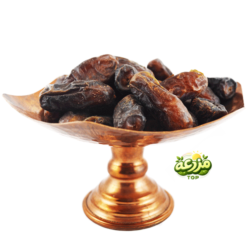 خرما پیارم - عکس 1