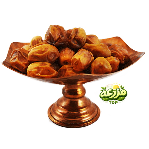 خرما زاهدی