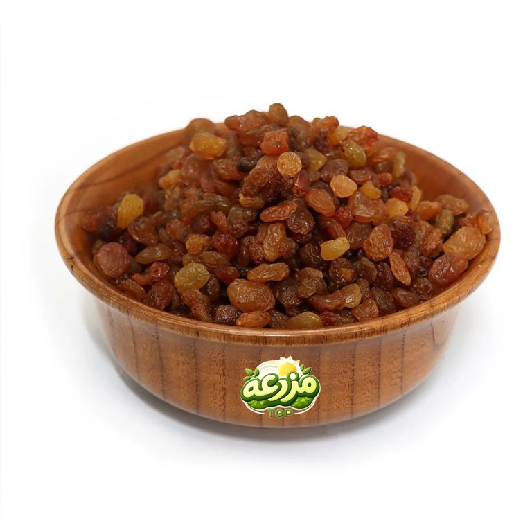 کشمش طلایی - عکس 2