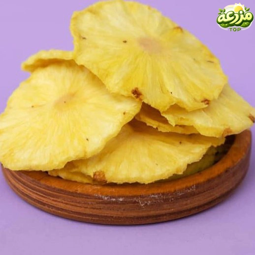 آناناس خشک - عکس 2
