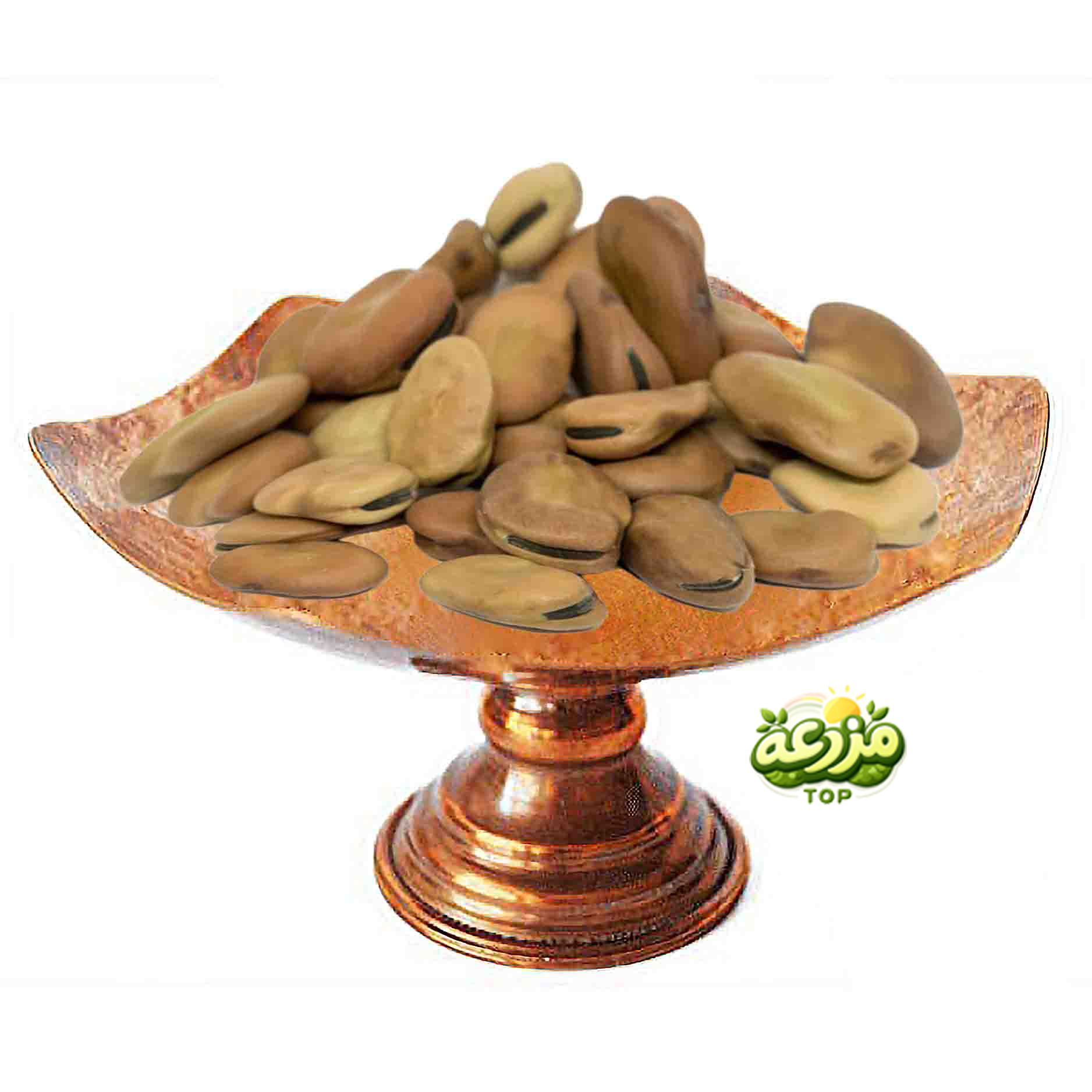 باقالی خشک - عکس 1