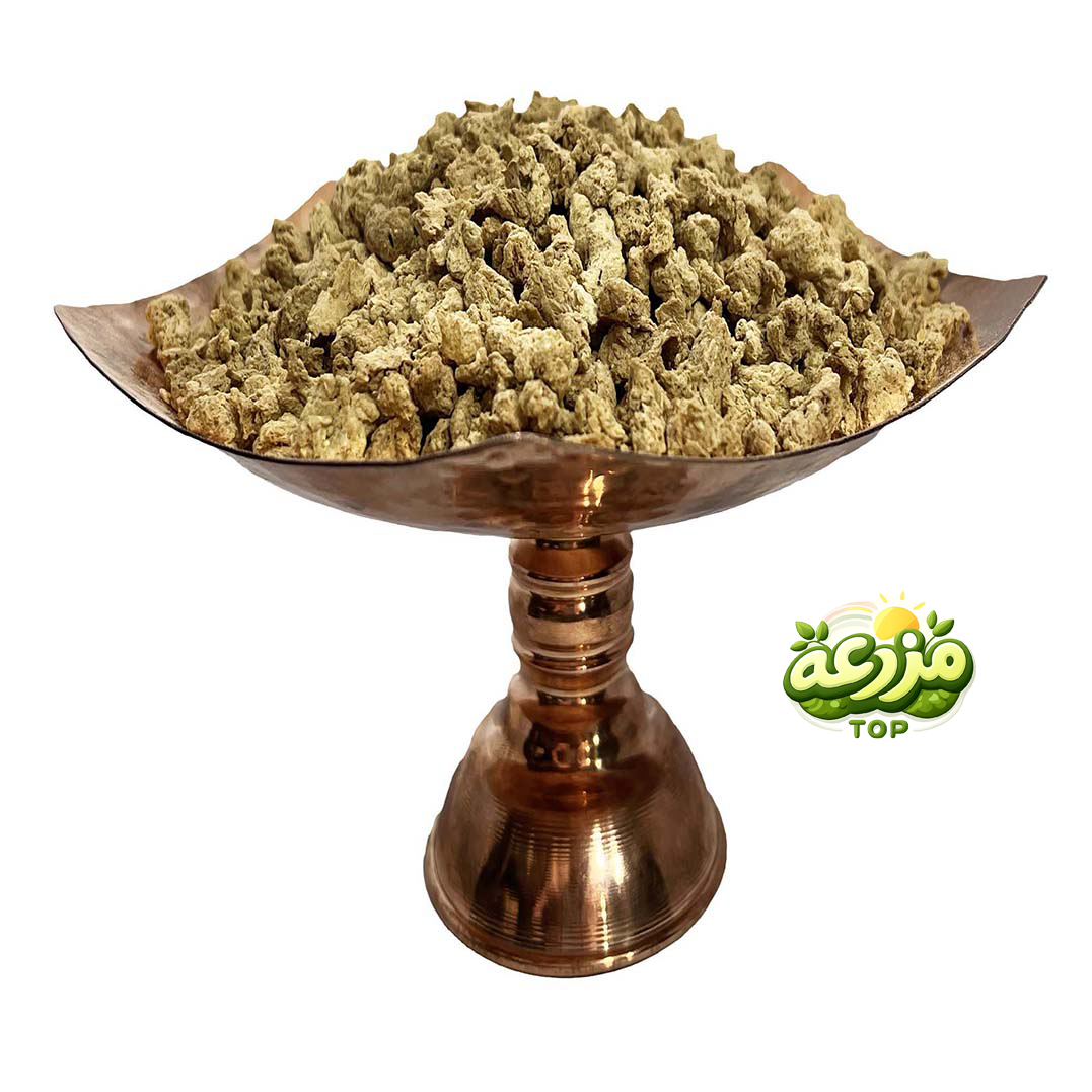 سویا - عکس 1