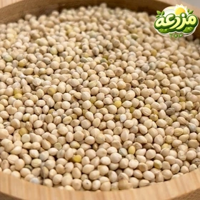ارزن درشت - عکس 2