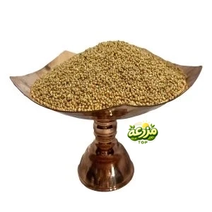 ارزن درشت