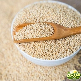 ارزن ریز - عکس 2