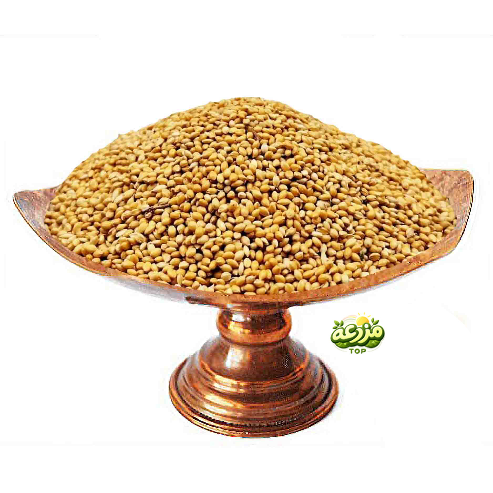 ارزن ریز - عکس 1