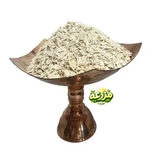 جو پرک