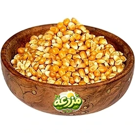 ذرت آمریکایی - عکس 2