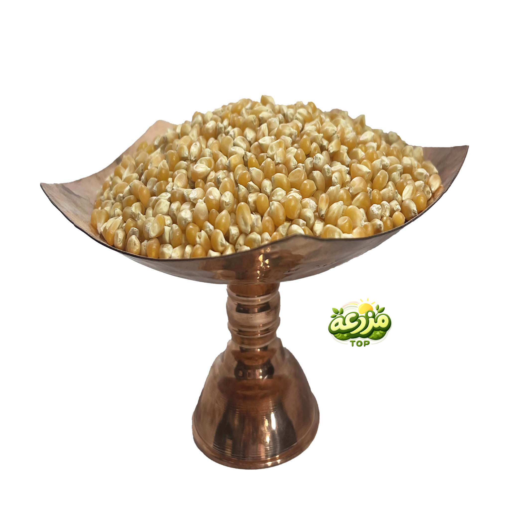 ذرت آمریکایی