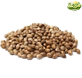 شاهدانه غیر خوراکی - عکس 2
