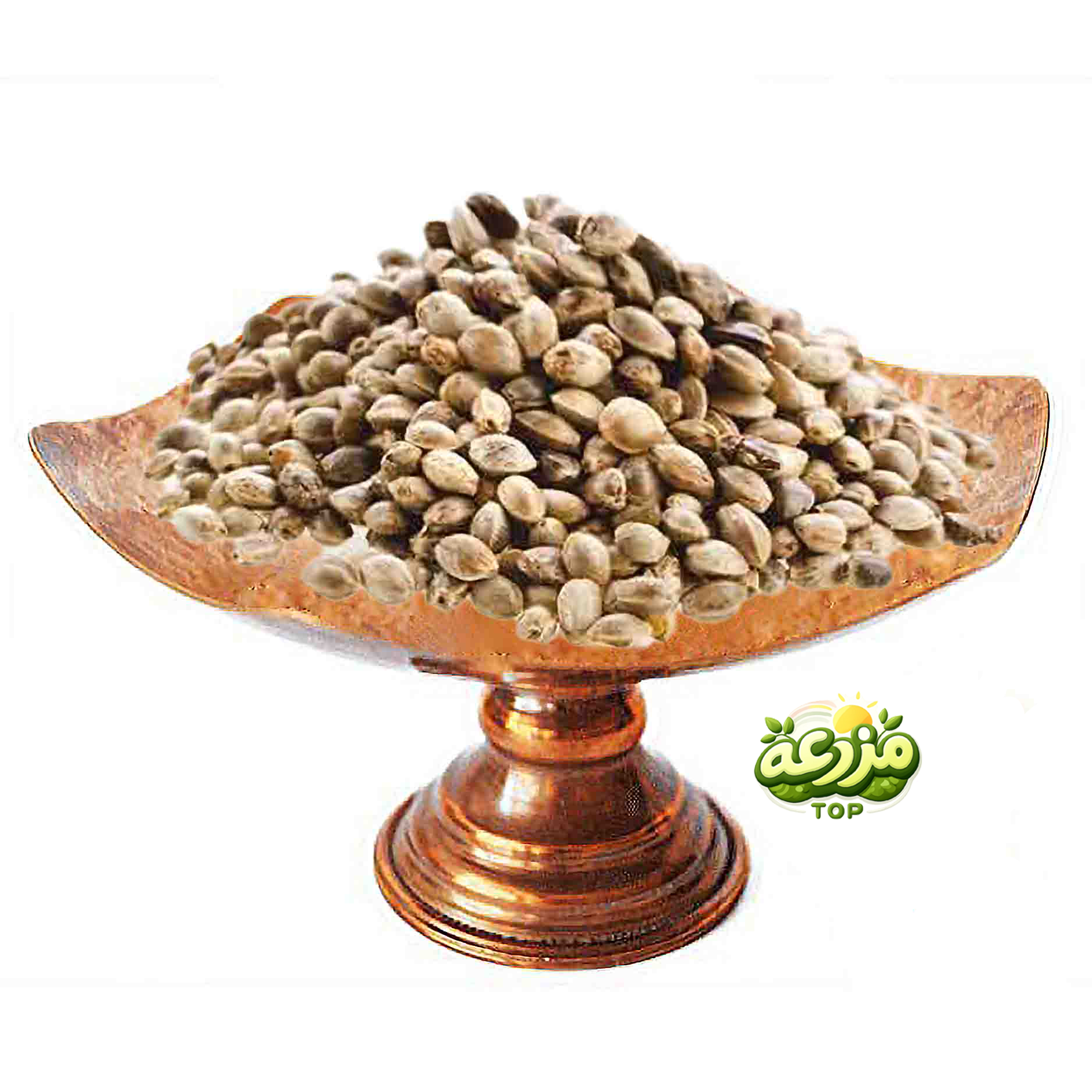 شاهدانه غیر خوراکی