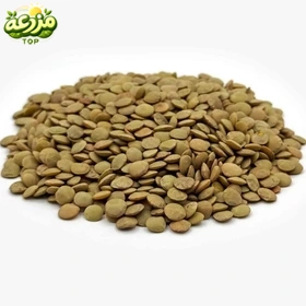 عدس ایرانی