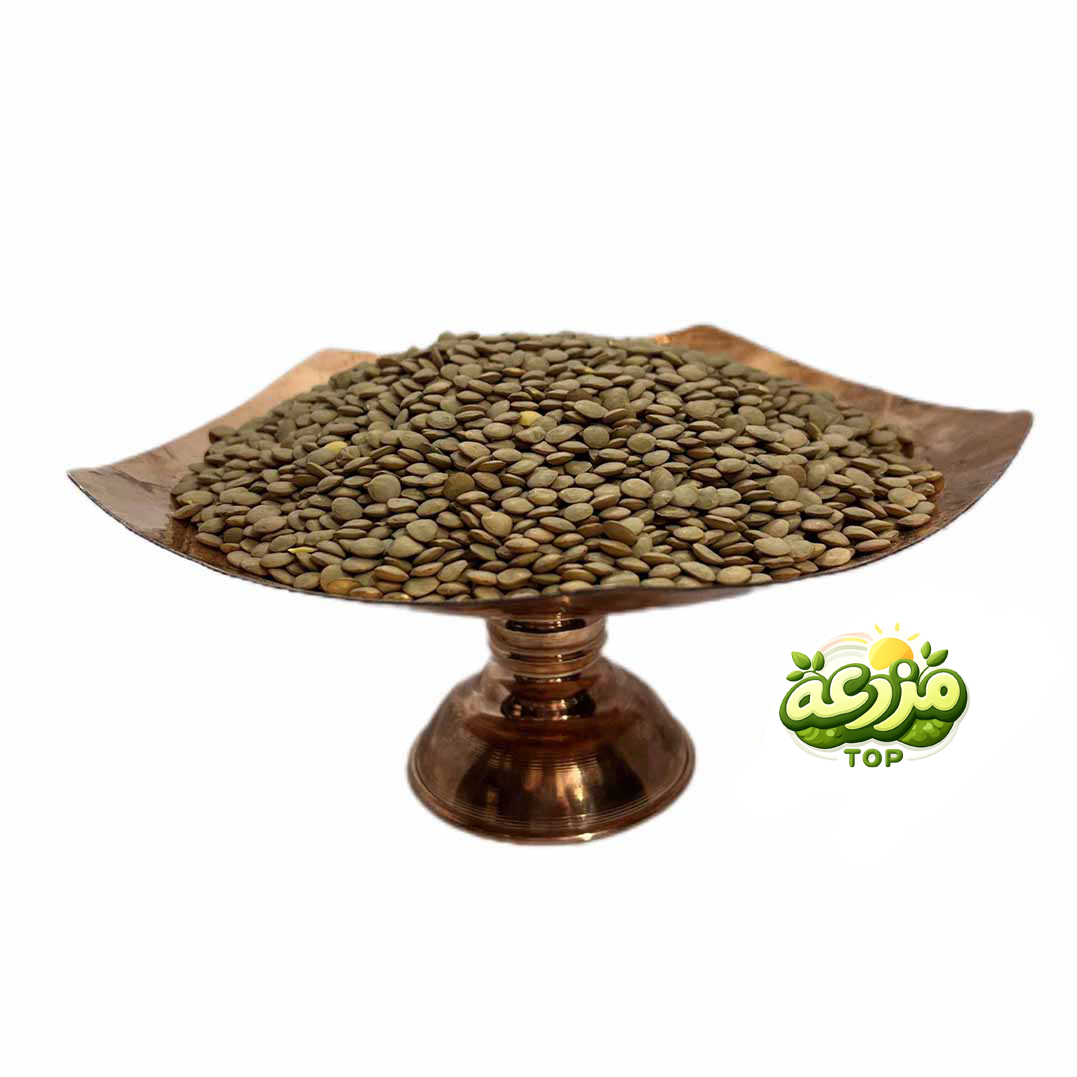 عدس ایرانی