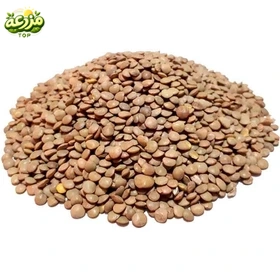 عدس ریز خارجی