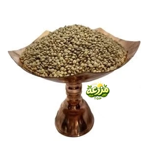 عدس ریز خارجی