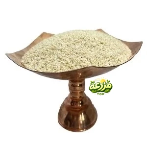 کنجد سفید