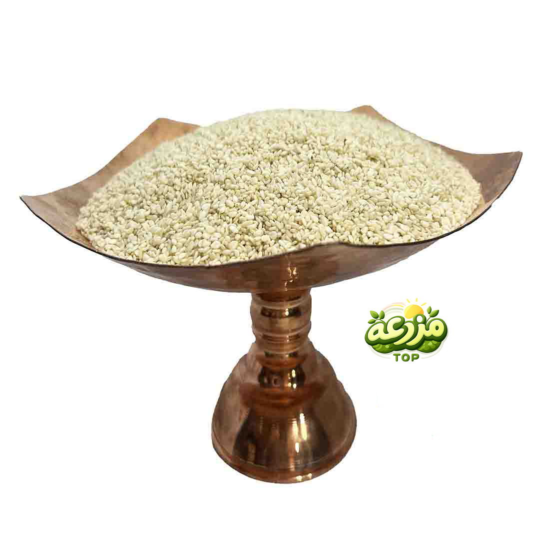 کنجد سفید - عکس 1