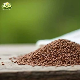 کنجد قهوه ای - عکس 2