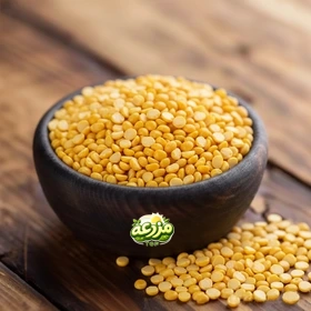 لپه آذرشهر