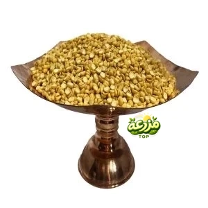لپه باقالی زرد