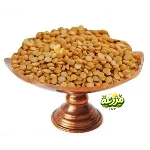 لپه درجه یک خارجی