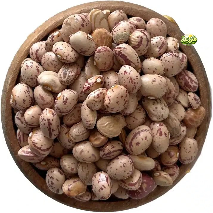 لوبیا چیتی - عکس 2