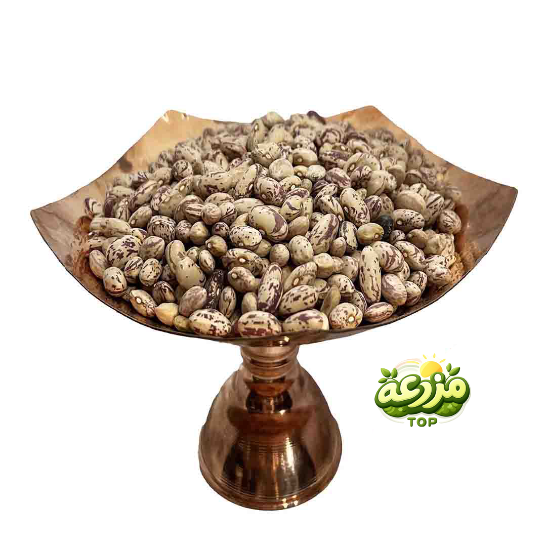 لوبیا چیتی