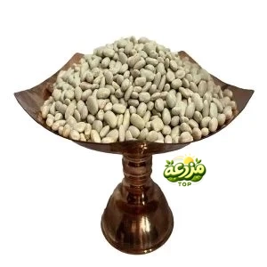 لوبیا سفید