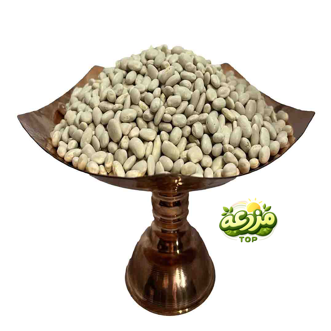 لوبیا سفید