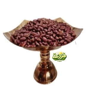 لوبیا قرمز قلمی