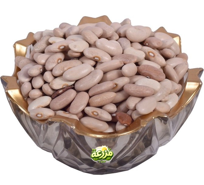لوبیا کشاورزی
