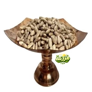 لوبیا کشاورزی
