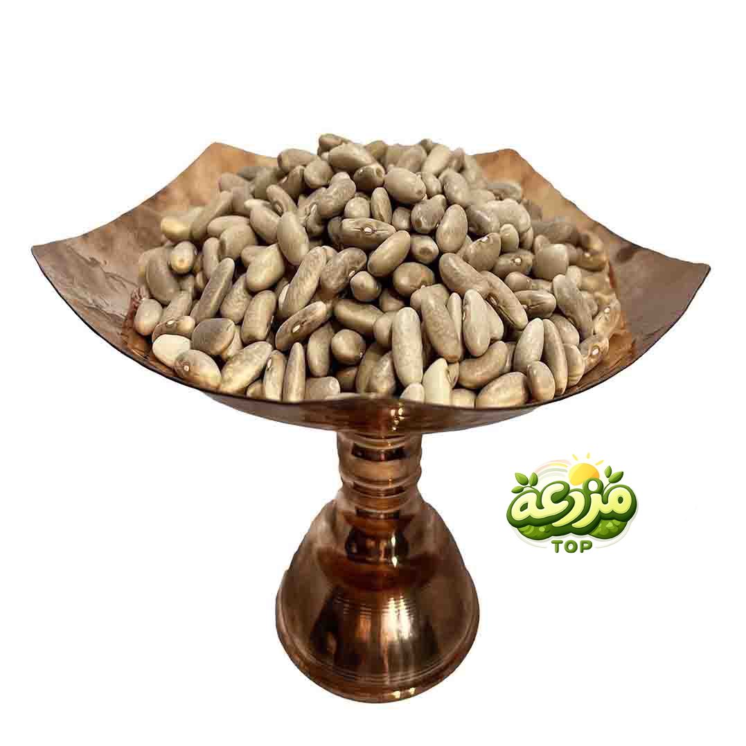لوبیا کشاورزی - عکس 1