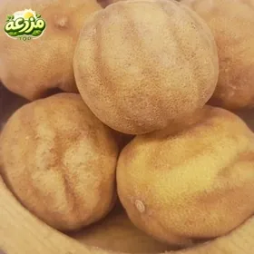 لیمو عمانی درجه یک - عکس 2