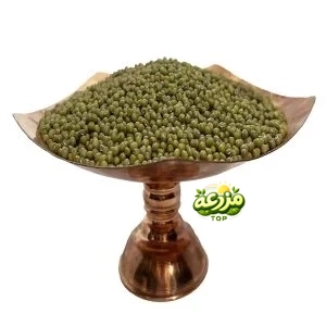 ماش ایرانی