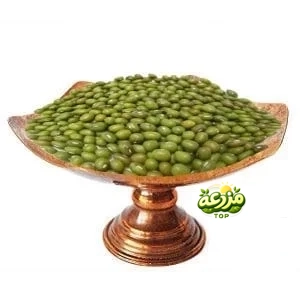 ماش خارجی
