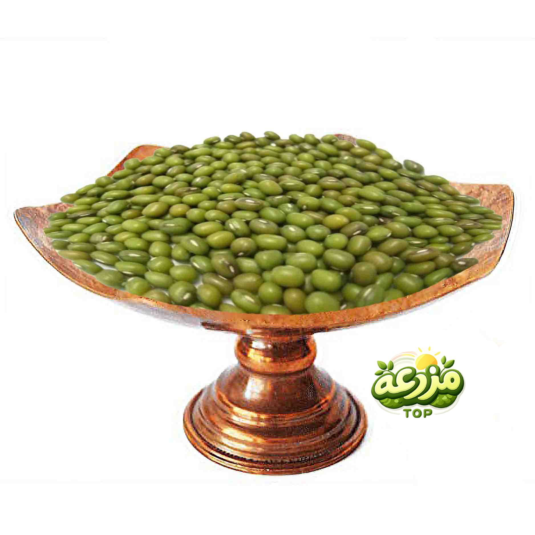 ماش خارجی