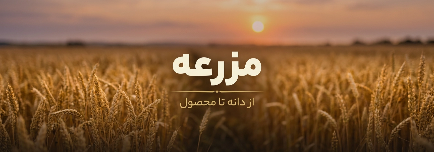 مزرعه